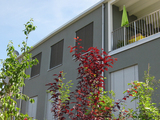 Import: Haus.jpg
