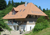 Import: Gesamt