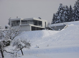 Import: Winter.jpg