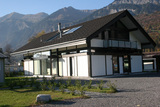 Import: Gesamt