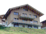 Import: Gesamt