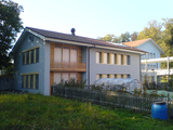 Import: Fenster