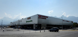Import: Gesamt