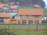 Import: Gesamt