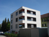 Import: Gesamt