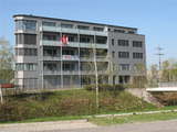 Import: Gesamta