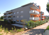 Import: Gesamt