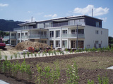 Import: Gesamt