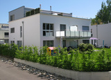 Import: Gesamt