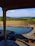Import: Aussicht