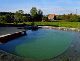 Import: Pool