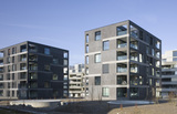 Import: Gesamt