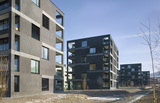 Import: Gesamt