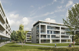 Import: Ansicht