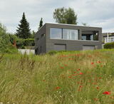 Haus