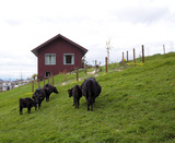 Foto01_BE-322-P
