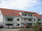 Import: Gesamt