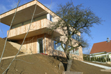 Import: Gesamt
