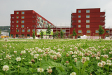 ZH-060-P-ECO_1
