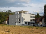 AG-3295 