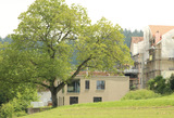 Import: Haus.jpg