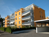 Import: Gesamt