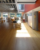 Photo4