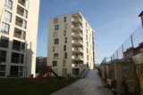 Image-1