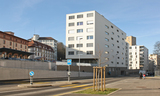 Image-3