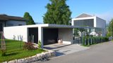 Import: Gesamt