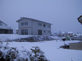 Import: Gesamt