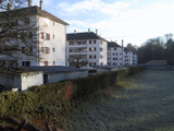 Import: Gesamt