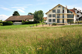 Import: Gesamt