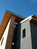 Import: Detail