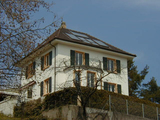 Import: Gesamt