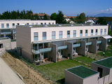 Import: Gesamt