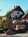 Import: Gesamt