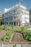Import: Gesamt