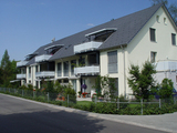 Import: Gesamt