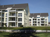Import: Gesamt