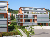 Import: Gesamt