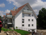 Import: Gesamt
