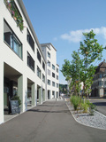 Import: Vorne