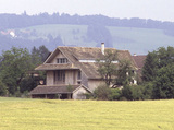 Import: Gesamt