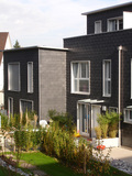 Import: Gesamt