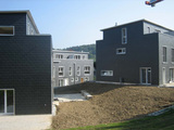 Import: Gesamt