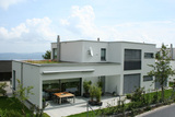 Import: Gesamt