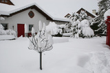 Import: Winter