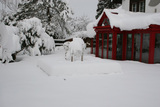 Import: Winter