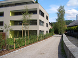 Import: Gesamt